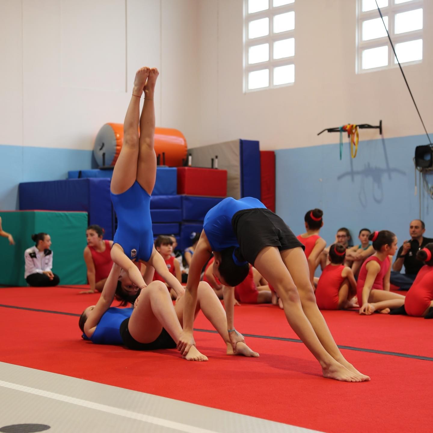 Allenamento acrobatico e preparazione fisica atlete a Cesena